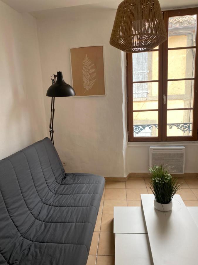 Carcassonne Situe Plein Centre Apartment Ngoại thất bức ảnh